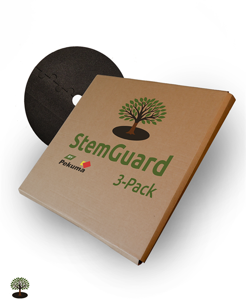 StemGuard 3-pack